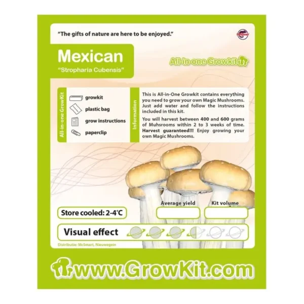 mexican paddo growkit