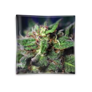 V Syndicate-Glass Ashtray-Blue Dream